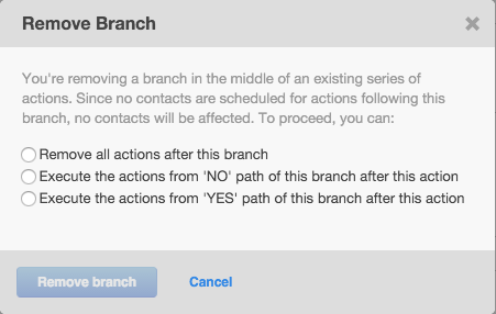 HubSpot Workflow Delete Branch options
