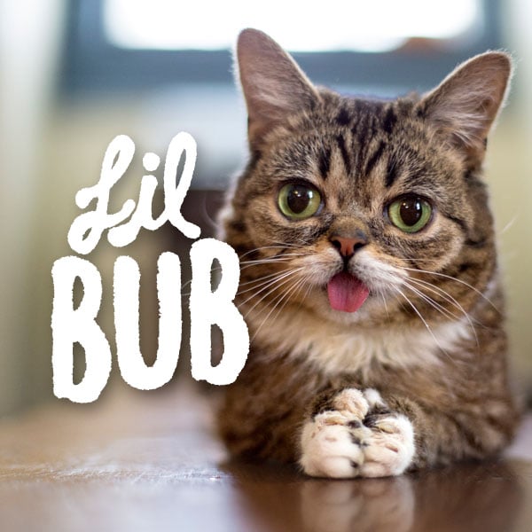 lilBUB