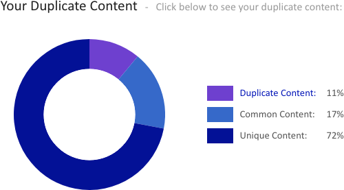 siteliner duplicate content report